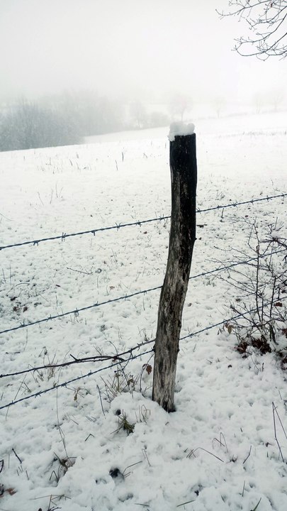 Cosm'impro le 12 12 2024 au-dela de l'espace et du temps