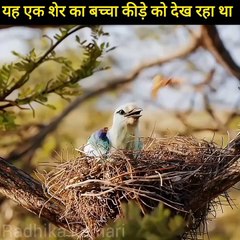 The King of Jungle (Moral Story)