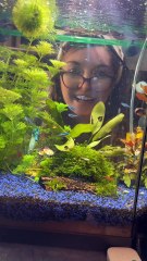 Je m'appelle Josiane, reine de la danse, de la forêt… et de la solitude ! 🤣✨