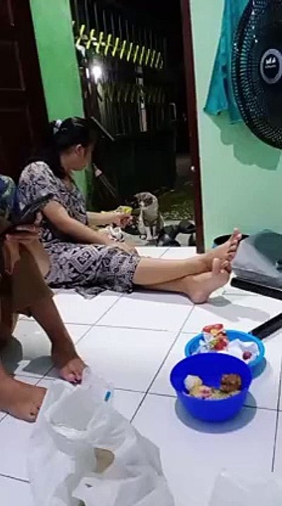Lagi Kumpul