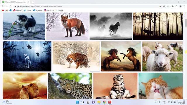 Como hacer Captura de Pantalla en Windows 11 | Atajo Impr Pant – Donde se guardan las capturas