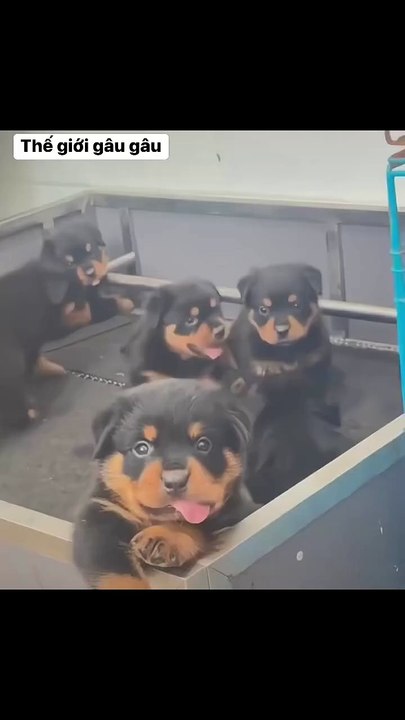 You look so cold and beautiful, but when we talk, I realize you're so stupid