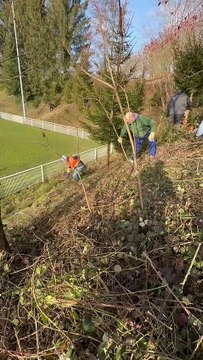 AS Hausgauen en image journée de travail