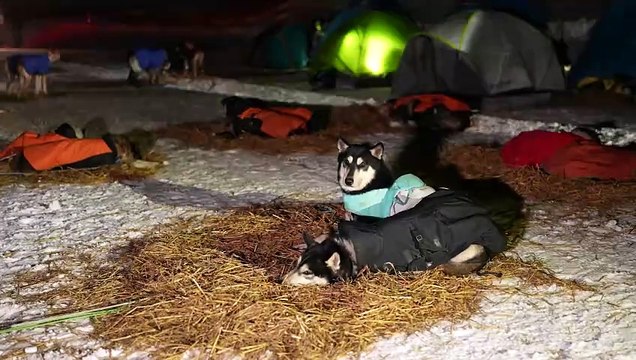 Dimanche 19 Janvier - Etape 7b - Val Cenis présentée par Animalis