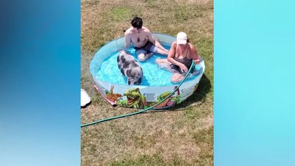 Best Funny Videos 🤣 - People Being Idiots _ 🤣 Try Not To Laugh -  #18