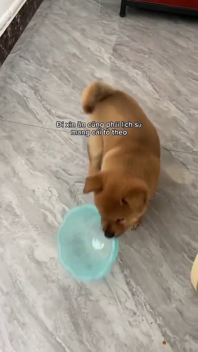 Sen, es ist Zeit zu essen, Sen...ich bin so hungrig, Sen..Lass mich essen, Sen..