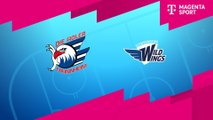 Highlights von Adler Mannheim - Schw. Wild Wings