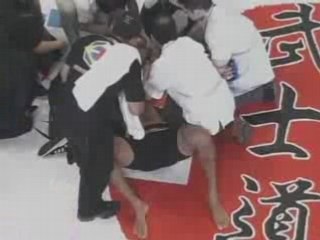 ALEKSANDR EMELIANENKO vs RICARDO MONSTR