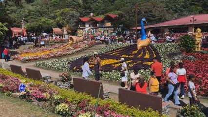 Culmina Feria de las Flores y el Café de Boquete