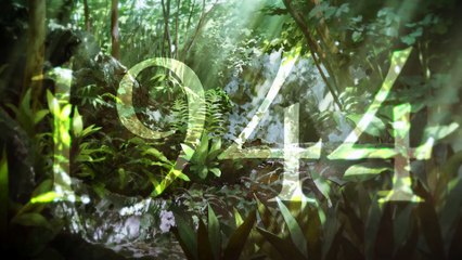 ペリリュー　－楽園のゲルニカー | movie | 2025 | Official Teaser