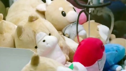 Billionaire CEO Unexpectedly Falls in Love with his Poor Secretary Who Has no Interest in Him