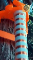 🌳⚡ ¿Y si los árboles iluminaran tu casa? El futuro de la energía sostenible