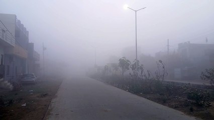 कोहरे का असर: हाईवे पर स्पीड हुई कम, घंटे देरी से चल रही ट्रेन... सोगरिया नई दिल्ली रदद्