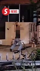 Report lodged over viral video showing man beating dog with hammer