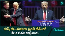 Elon Musk సుడి తిరిపోయింది.. Trump టీంలో కీలక పదవి| Donald Trump| Oneindia telugu