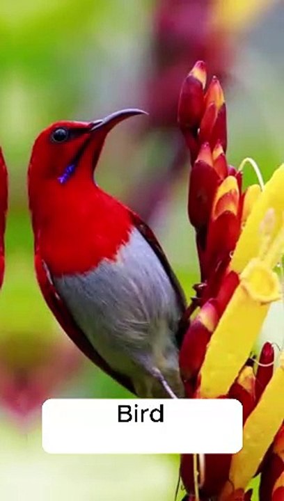 Top 10 Richest Country in World #follow#like #100k #country #foryou #information #support #facts #knowledge