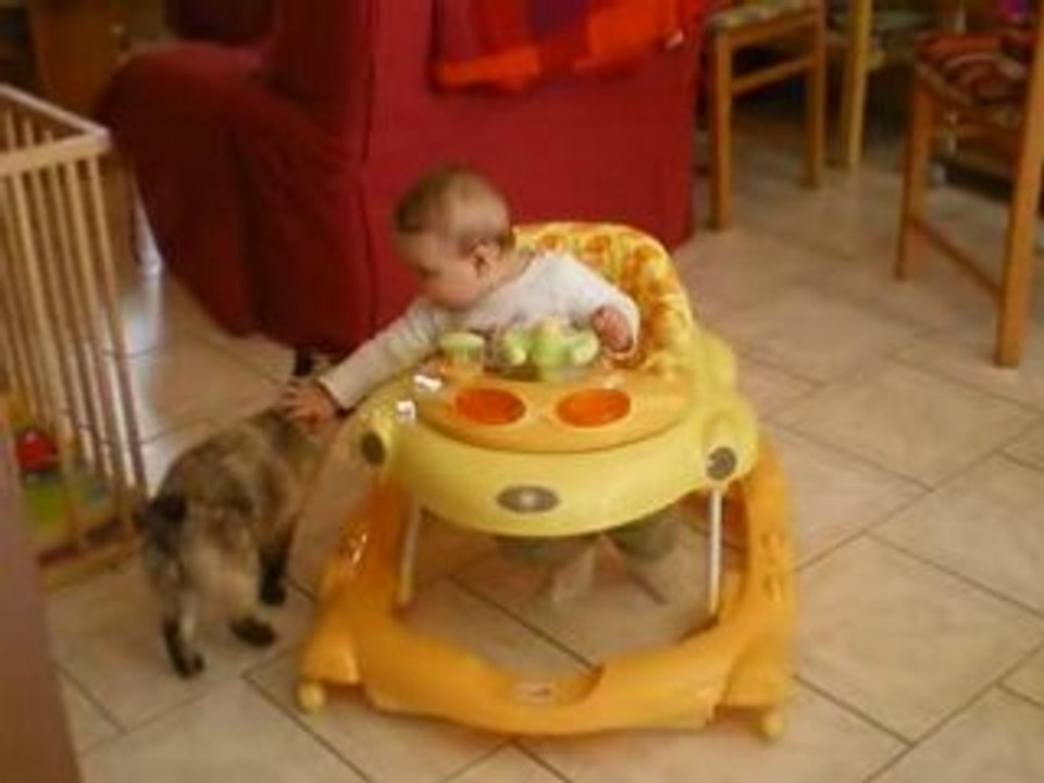 Maïwenn (5)