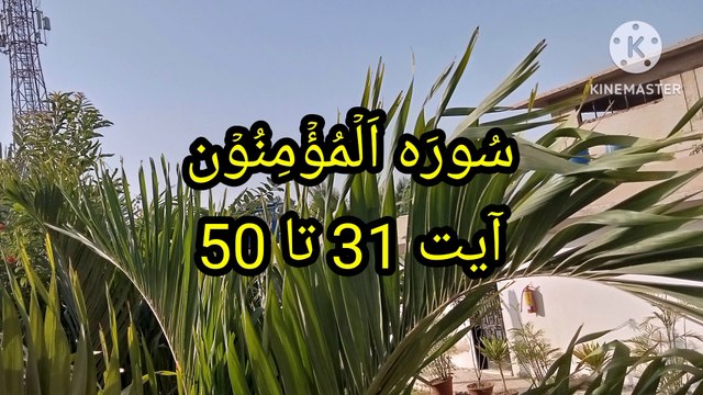 Surah Al mominun || Tajweed || quran recitation || bubak learn quran ||