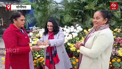 नीरज चोपड़ा की शादी पर बोली सासू मां "हमारी मर्जी से ही हुई है शादी", जल्द होगा रिसेप्शन