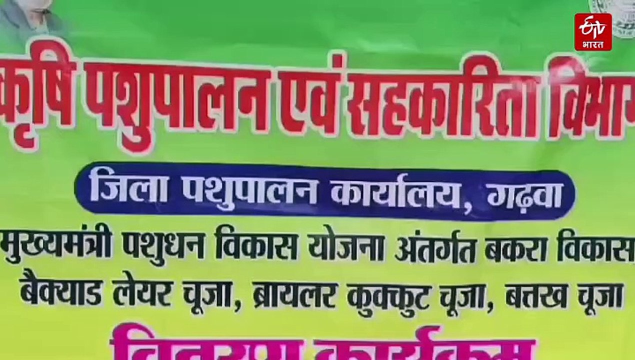 ये कैसा पशुधन योजना! 7 लीटर दूध की जगह दे दिया 7 सौ ग्राम दूध वाली गाय, बकरी के वजन पर उठे सवाल