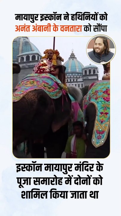 प्राकृतिक वातावरण में हथिनियों की देखभाल,