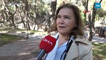 Antalya'nın kış güneşinde ayılar uyumadı
