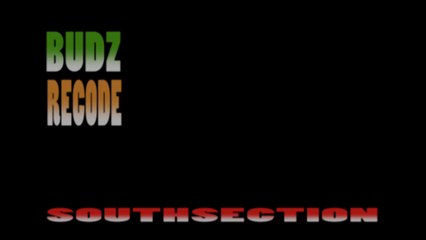 Budz Recode - Southsection