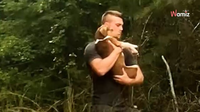Il trouve un chien au milieu de nulle part : il n'hésite pas une seconde et décide de changer sa vie (vidéo)