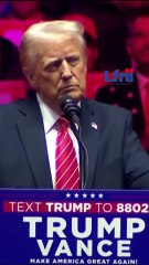 USA: la nouvelle équipe choc de Donald Trump à la maison blanche