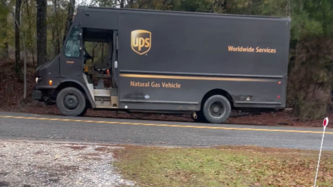 UPS driver gives viewers a look at truck after a turkey busted the ...