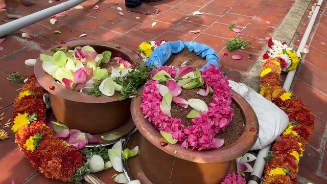9 Kumbha Kalasas in the Rajagopuram of Tiruchendur Subramanya Swamy Temple have been renovated