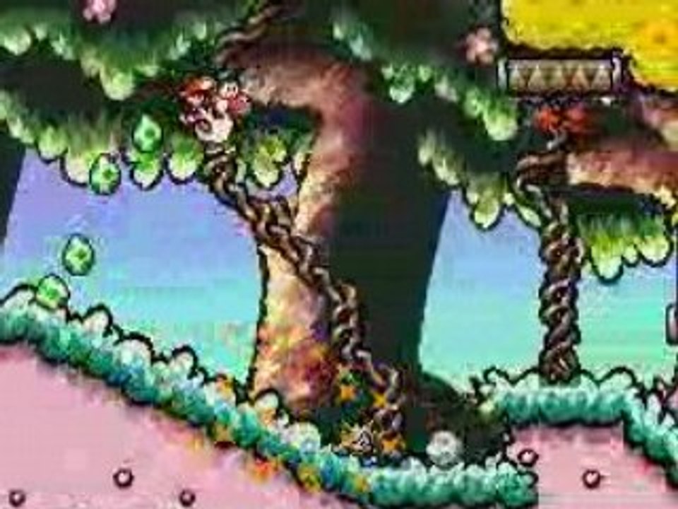 Yoshi2