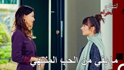 افهم الآن أنه لا يوجد فائز في هذا الحب! - التفاح الحرام الحلقة ال 77