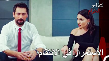 محادثة علي هان واندر لتقييم الوضع - التفاح الحرام الحلقة ال 79