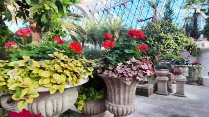 [현장 카메라]K-뷰티 열풍인데…K-향수만 안 뜬다?