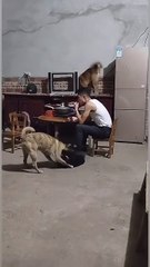 The mind is unchanging in the midst of countless changes in life