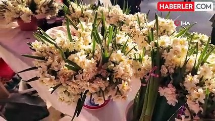 Mersin'de 3. Nergis Şenliği Coşkusu