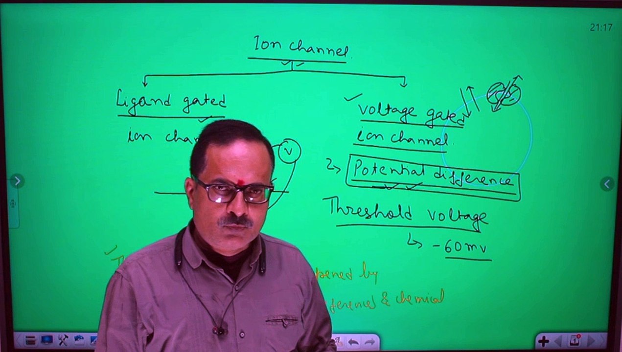 Transmission of Nerve impulse through axon