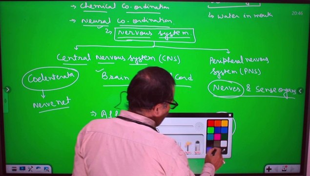 Structure and Types of Neuron