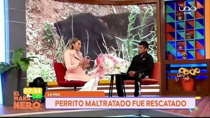 rescatan a perrito maltratado
