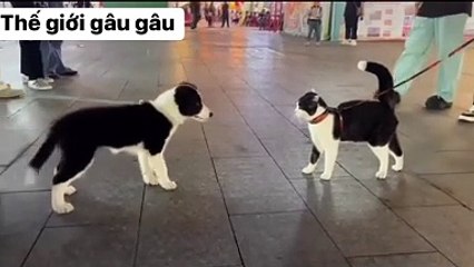 I think it's the same