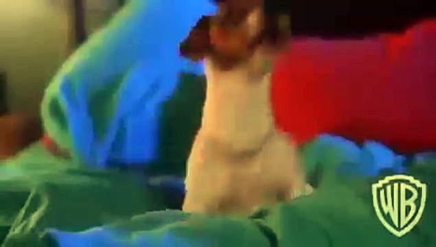 Bande-annonce de The Mask / Cameron Diaz est prête pour une suite