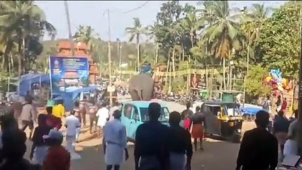 മതിക്കുന്ന് വേല എഴുന്നള്ളിപ്പിന് എത്തിച്ച ആന ഇടഞ്ഞു