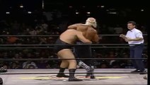 WCW Hog Wild 1996 - Hollywood Hulk Hogan vs The Giant (WCW World Heavyweight Championship)