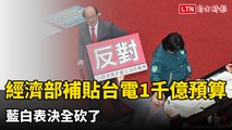 經濟部補貼台電1000億預算 藍白表決全砍了(翻攝自國會頻道YT)
