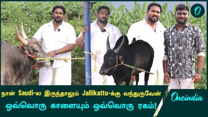Jallikattu-ல் மிரட்டும் Sobanapuram Ananth அவர்களின் 12 காளைகள் | Jallikattu 2025 | OneIndia Tamil 