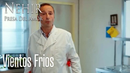Vientos Frios