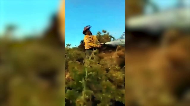 El incendio forestal en Epuyén ya arrasó con más de 3.000 hectáreas