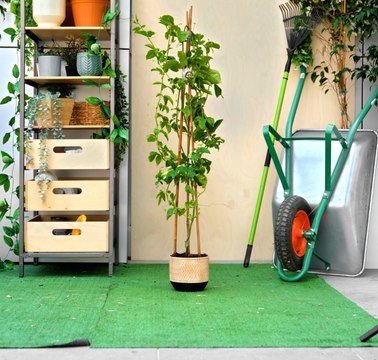Les meilleurs conseils de jardinage pour les débutants et les experts !
