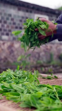 Artesanos tradicionales japoneses